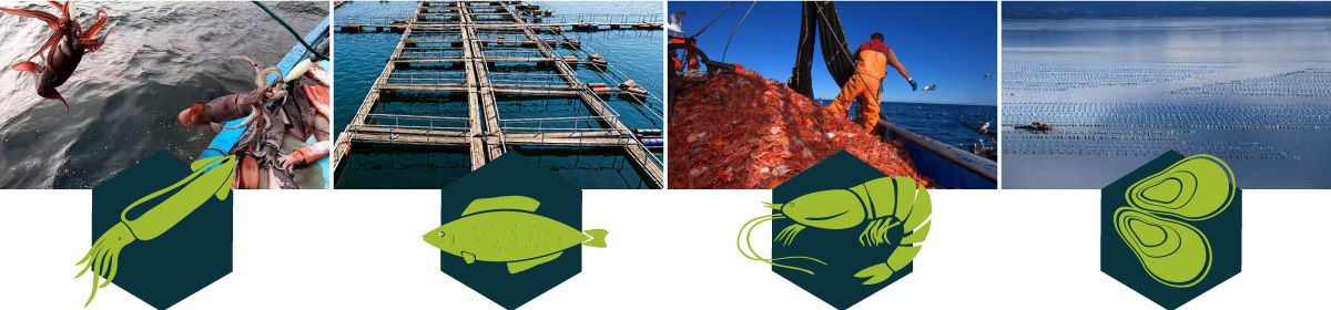 Ingredientes marinos para la nutrición animal