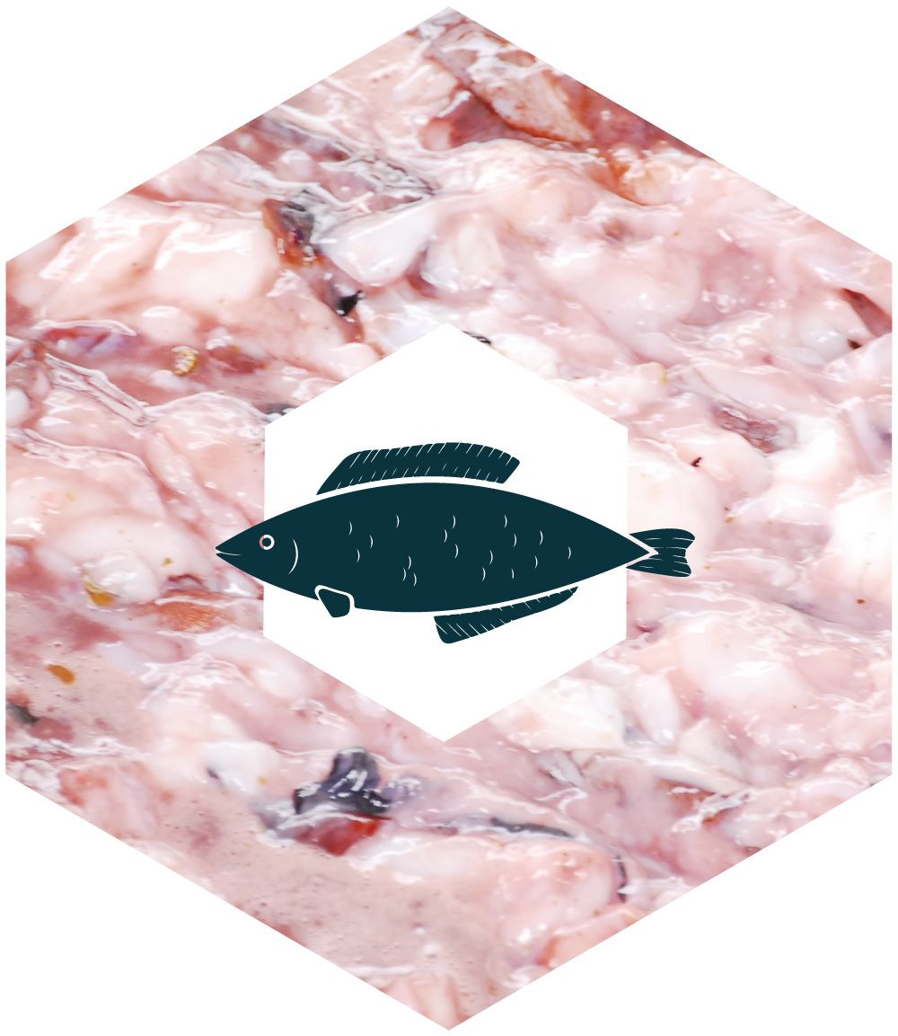 pescado