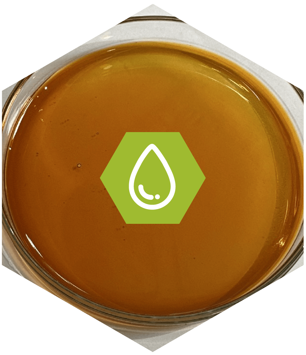 Aceites marinos